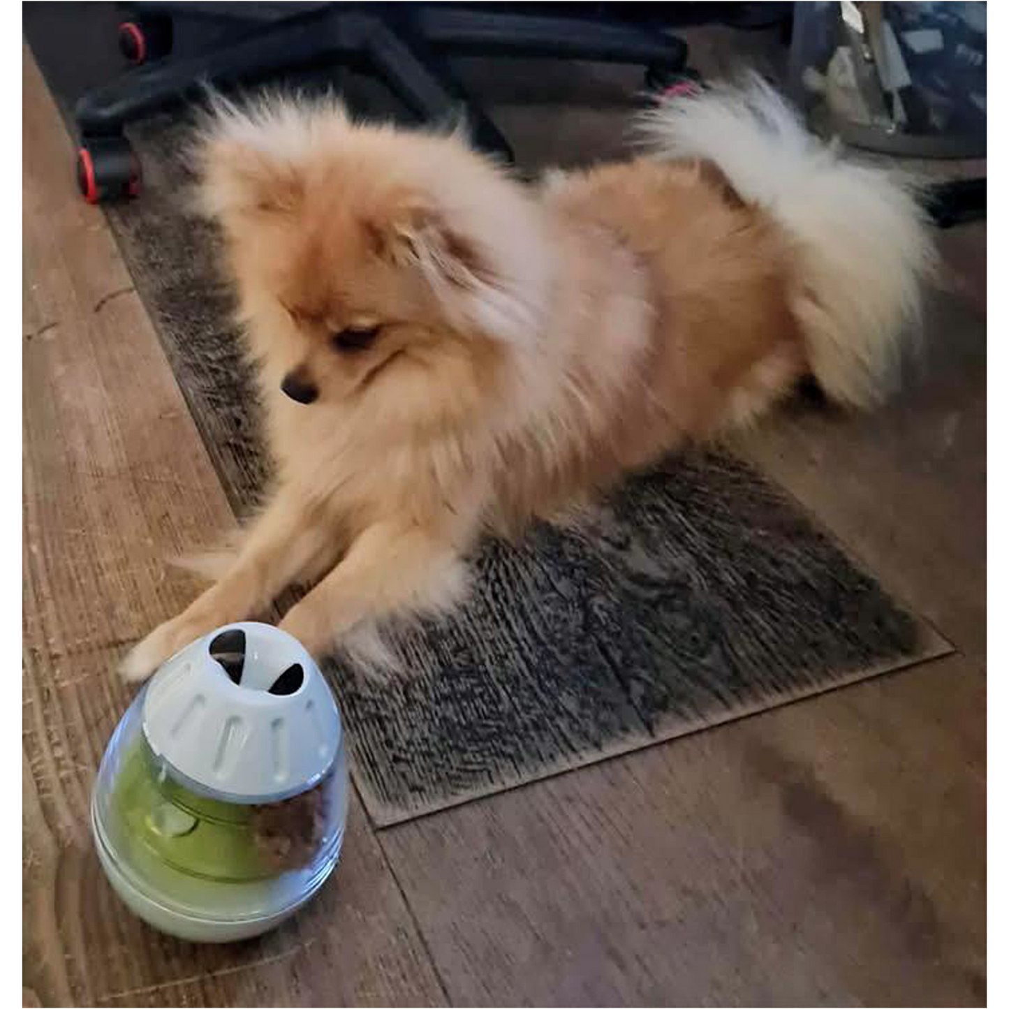 Trixie Steh-Auf-Snack-Ei - Futterspielzeug mit herausnehmbaren Platten – Fördert die Intelligenz deines Hundes und deiner Katze