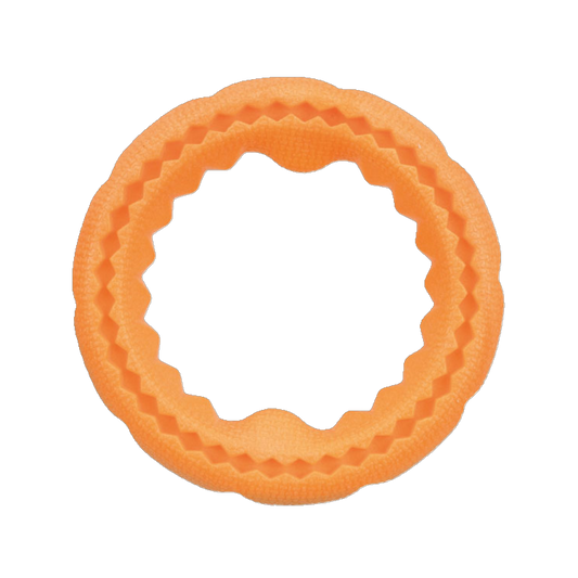 Trixie TPR-Ring – Der schwimmfähige Spielring für aktive Hunde