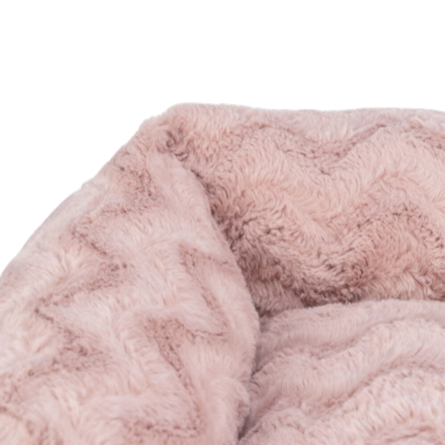 Trixie – Vital Bett Loki