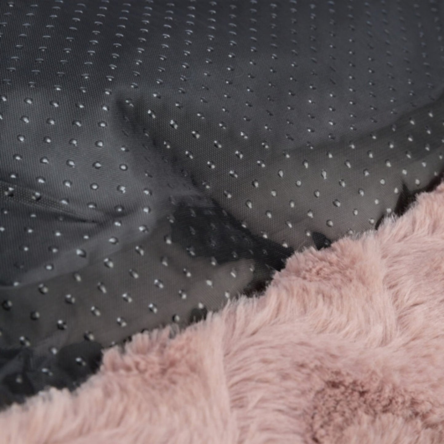 Trixie – Vital Bett Loki