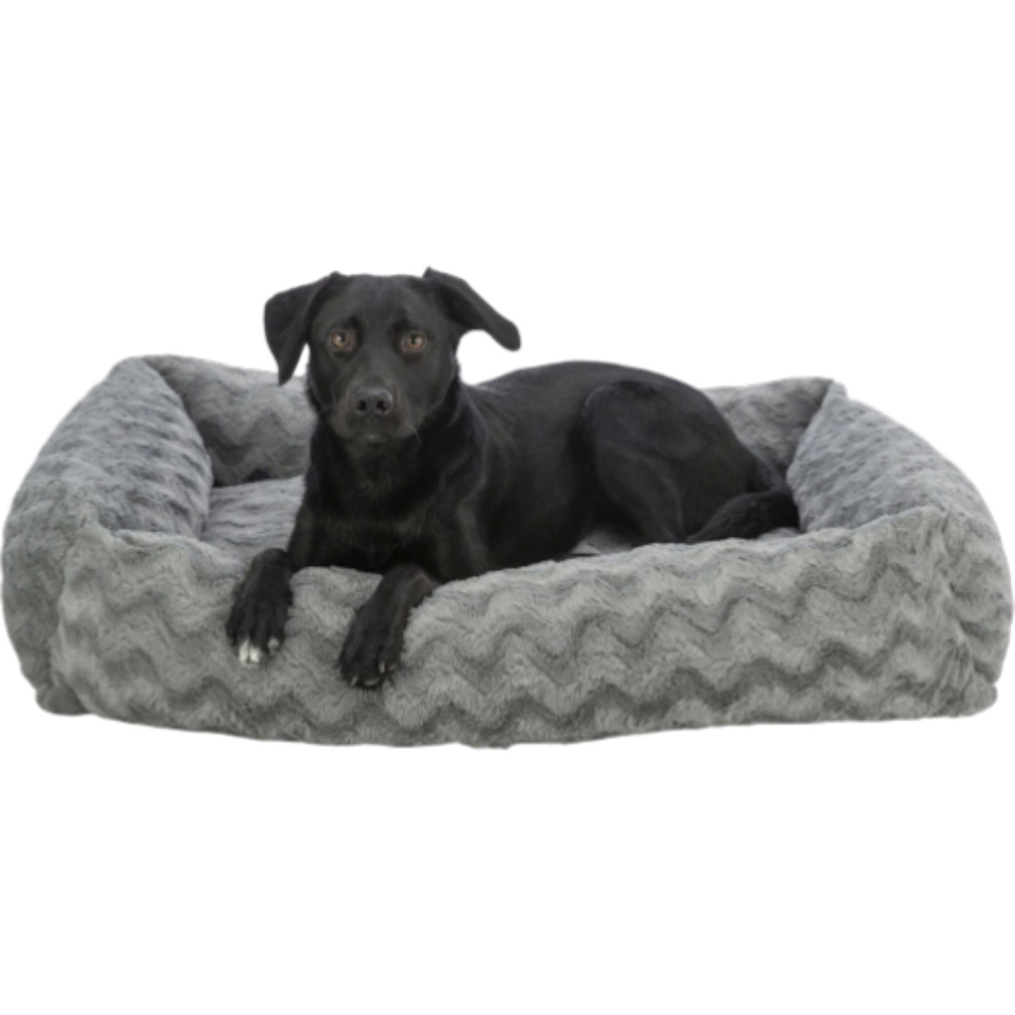 Trixie – Vital Bett Loki