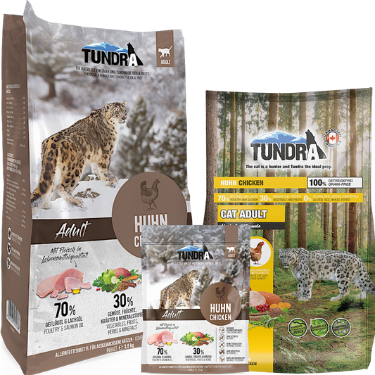 Tundra Cat - Huhn