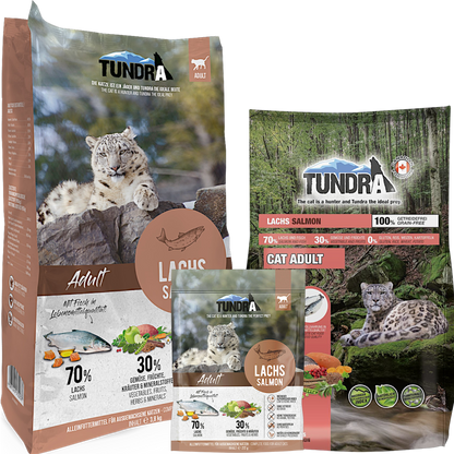 Tundra Cat - Lachs