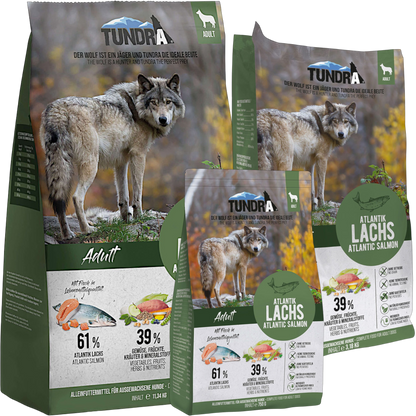 Tundra Dog - Atlantik Lachs