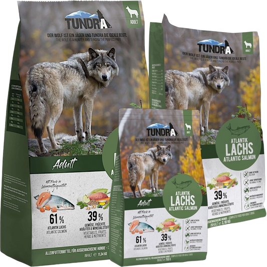 Tundra Dog - Atlantik Lachs