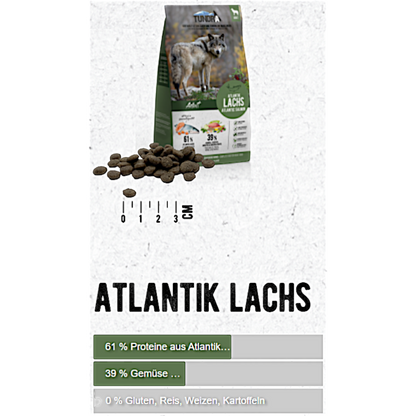 Tundra Dog - Atlantik Lachs