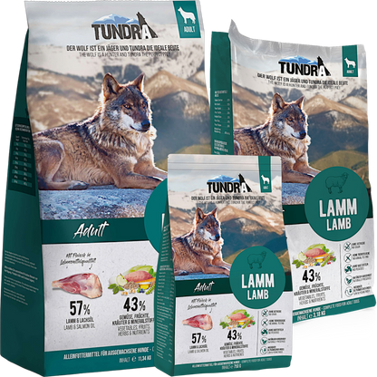 Tundra Dog - Lamm