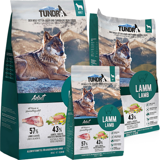 Tundra Dog - Lamm