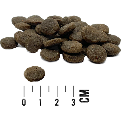 Tundra Dog - Lamm