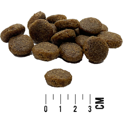 Tundra Dog - Pute, Huhn & Hering für große Hunde