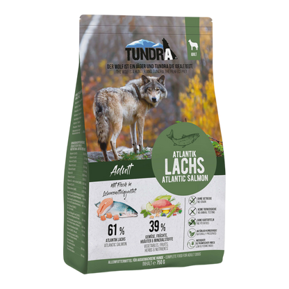Tundra Dog - Atlantik Lachs