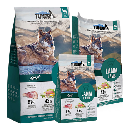 Tundra Dog - Lamm