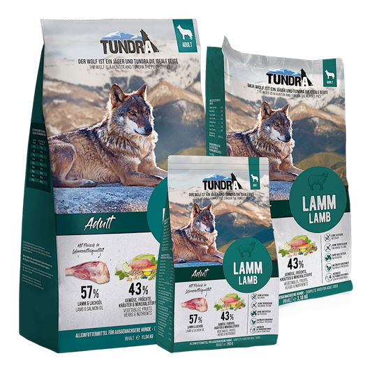 Tundra Dog - Lamm
