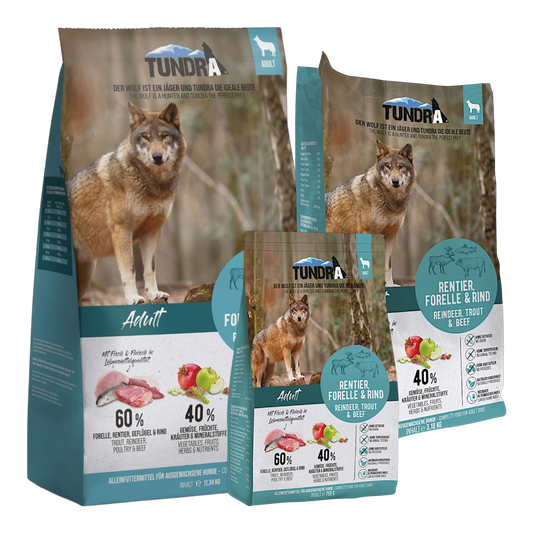 Tundra Dog - Rentier, Forelle & Rind