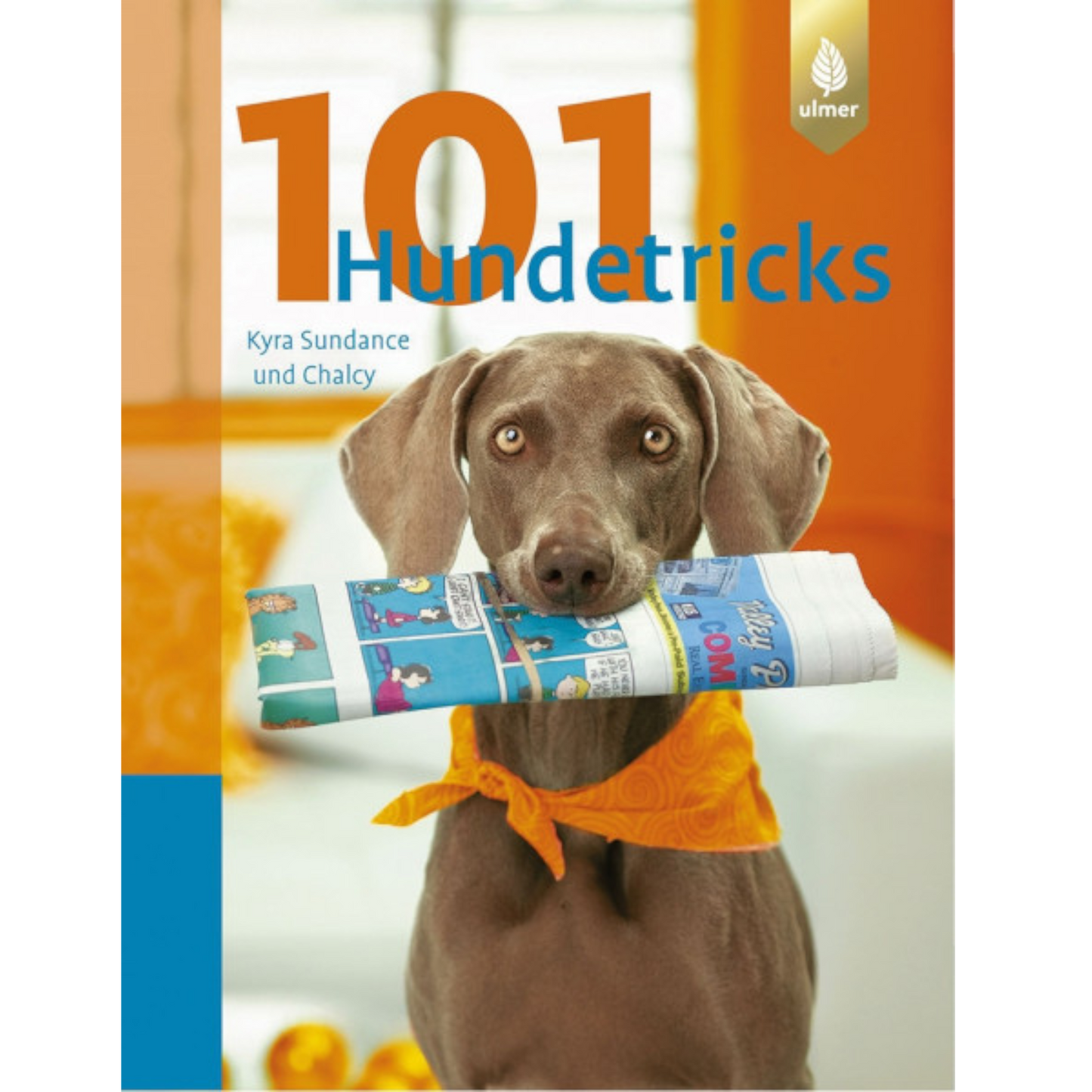 Ulmer - 101 Hundetricks