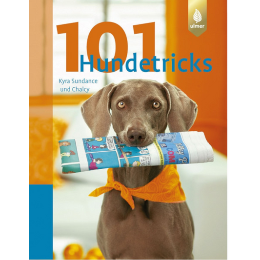 Ulmer - 101 Hundetricks