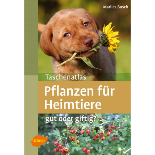 Ulmer - Pflanzen für Heimtiere