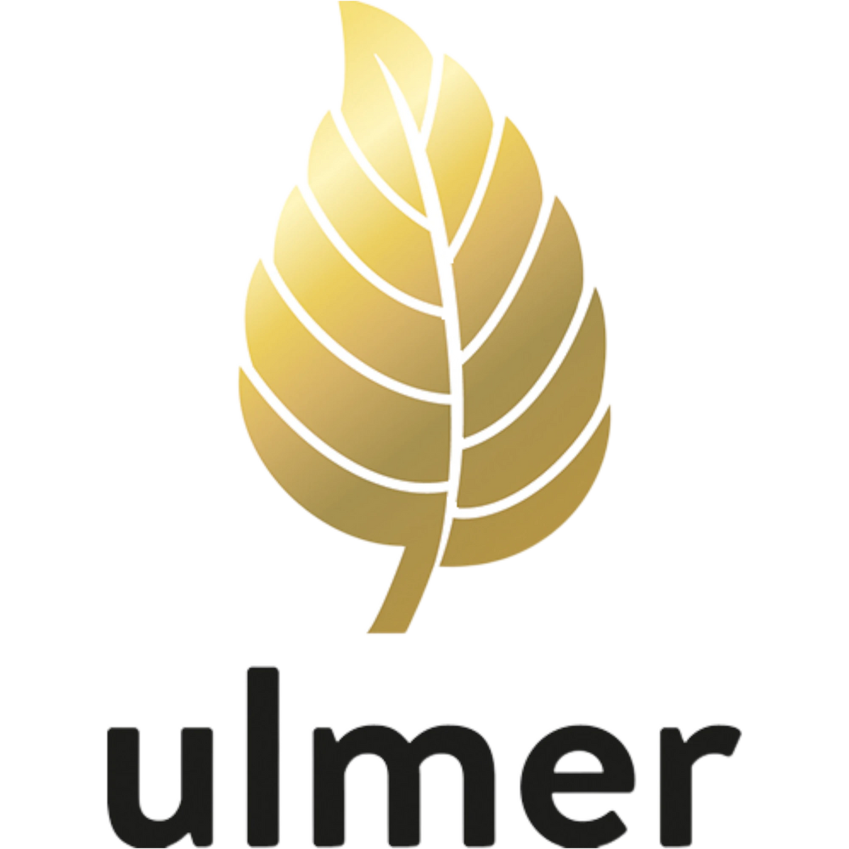 Ulmer