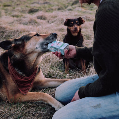 VegDog - ADULT Erbsen & Haferflocken