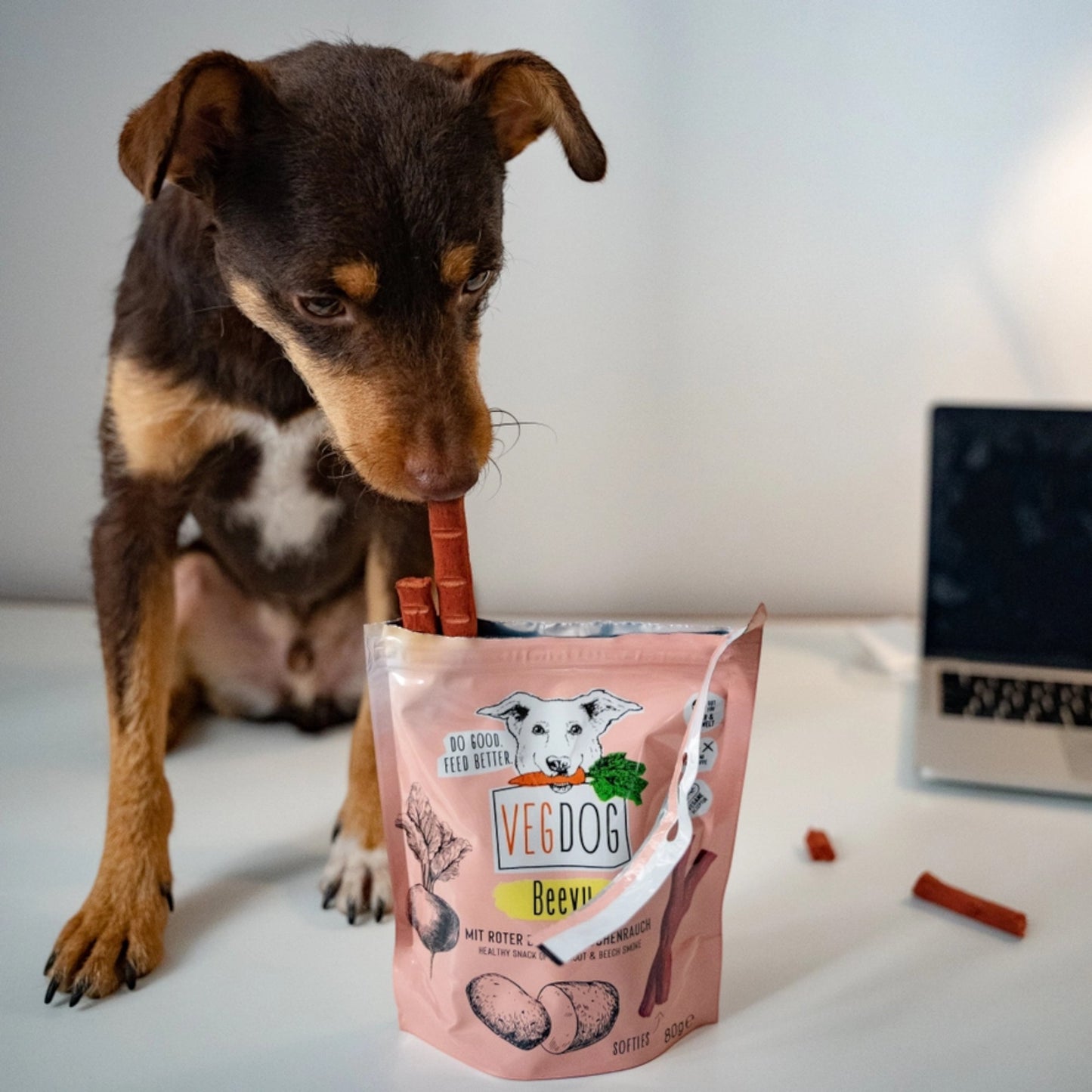 VegDog - BEEVYS