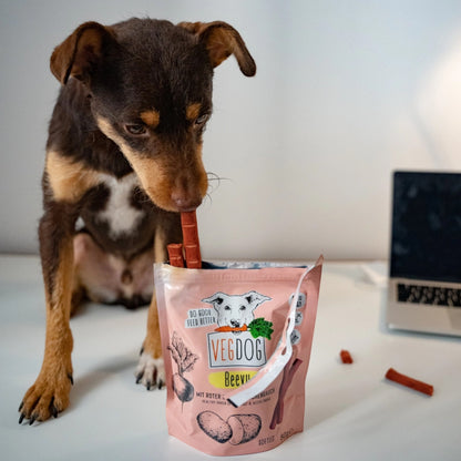 VegDog - BEEVYS