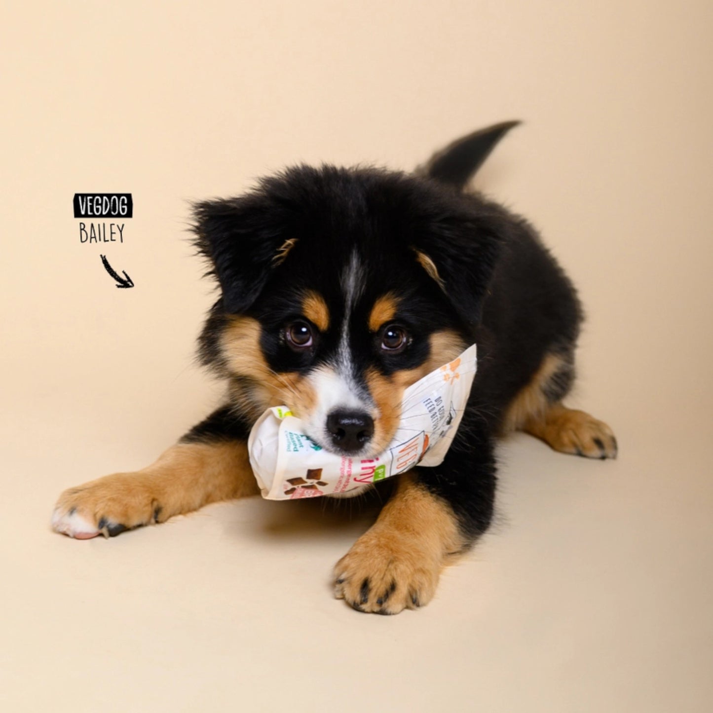 VegDog - BRAINY BITES