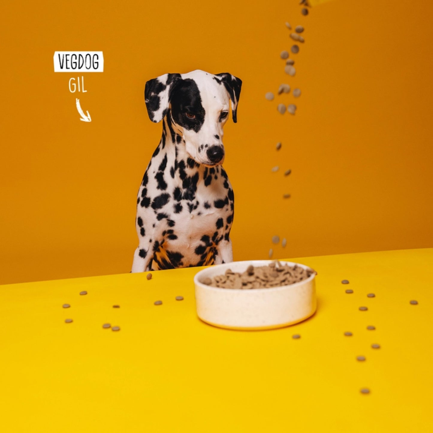 VegDog - FARMER’S CRUNCH Trockenfutter