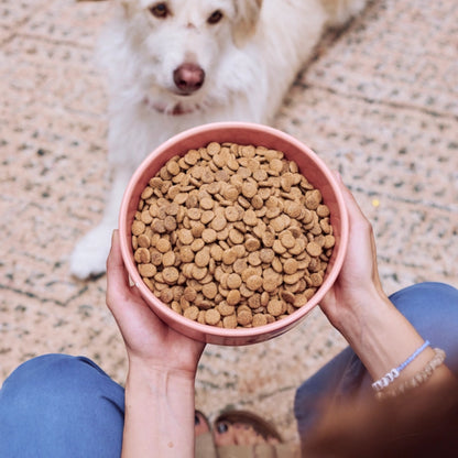 VegDog - GREEN CRUNCH Trockenfutter