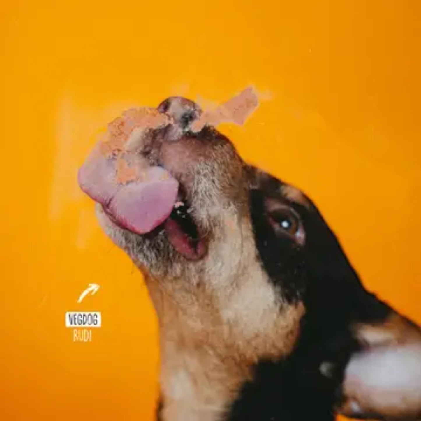 VegDog - LEVERVURST