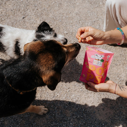 VegDog - POPS