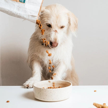VegDog - SIMPLY CRUNCH Trockenfutter