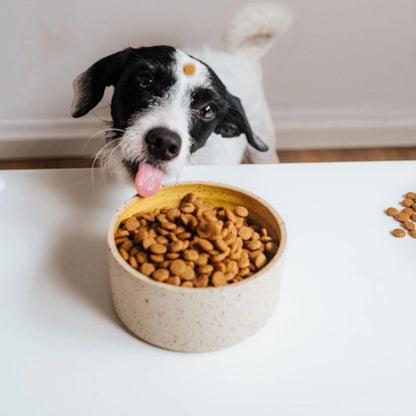 VegDog - SIMPLY CRUNCH Trockenfutter