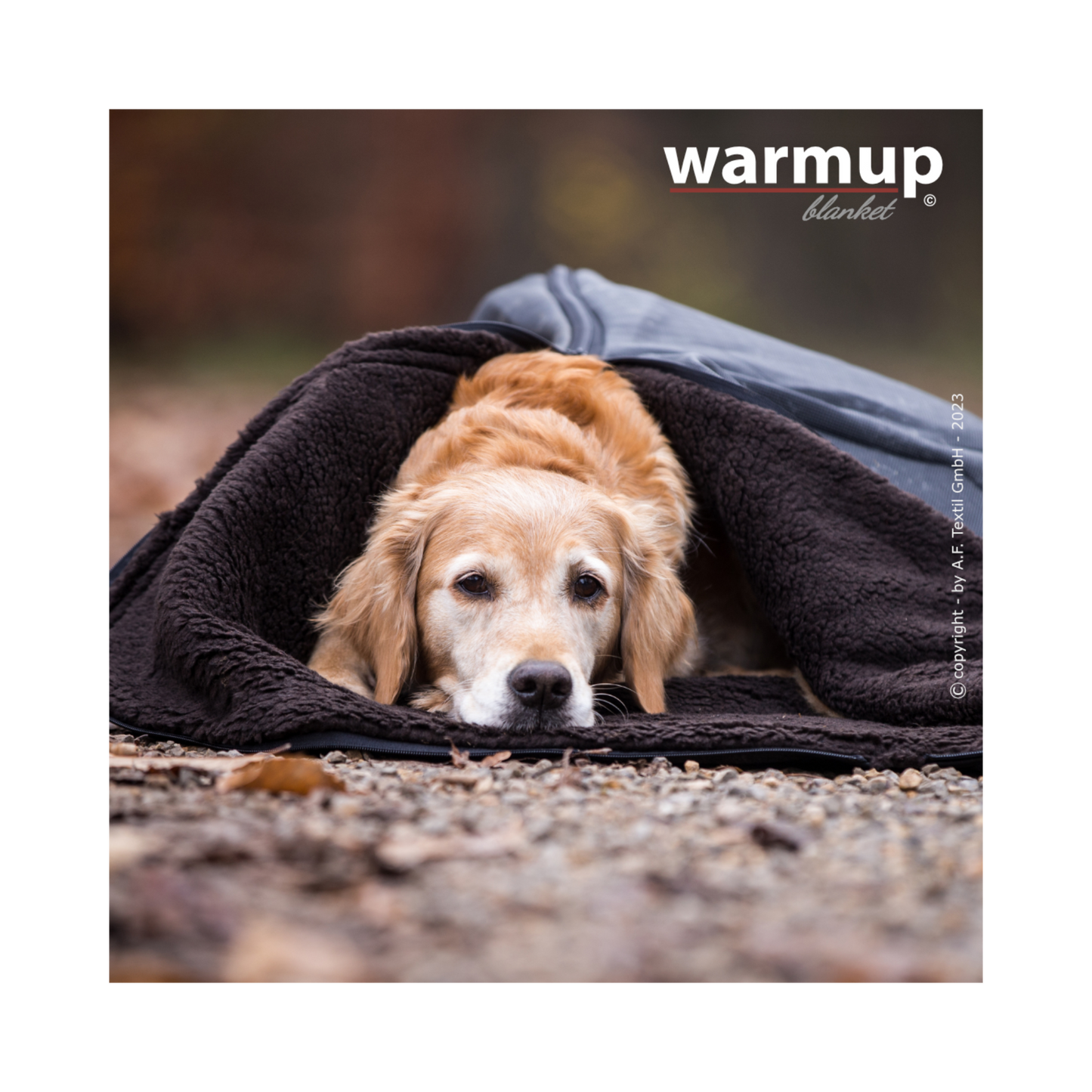 Warmup Blanket Big – die universelle Outdoor-Decke für Hunde