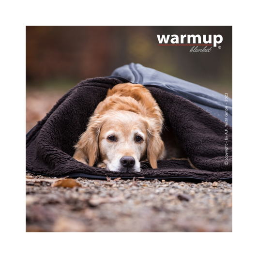 Warmup Blanket Big – die universelle Outdoor-Decke für Hunde