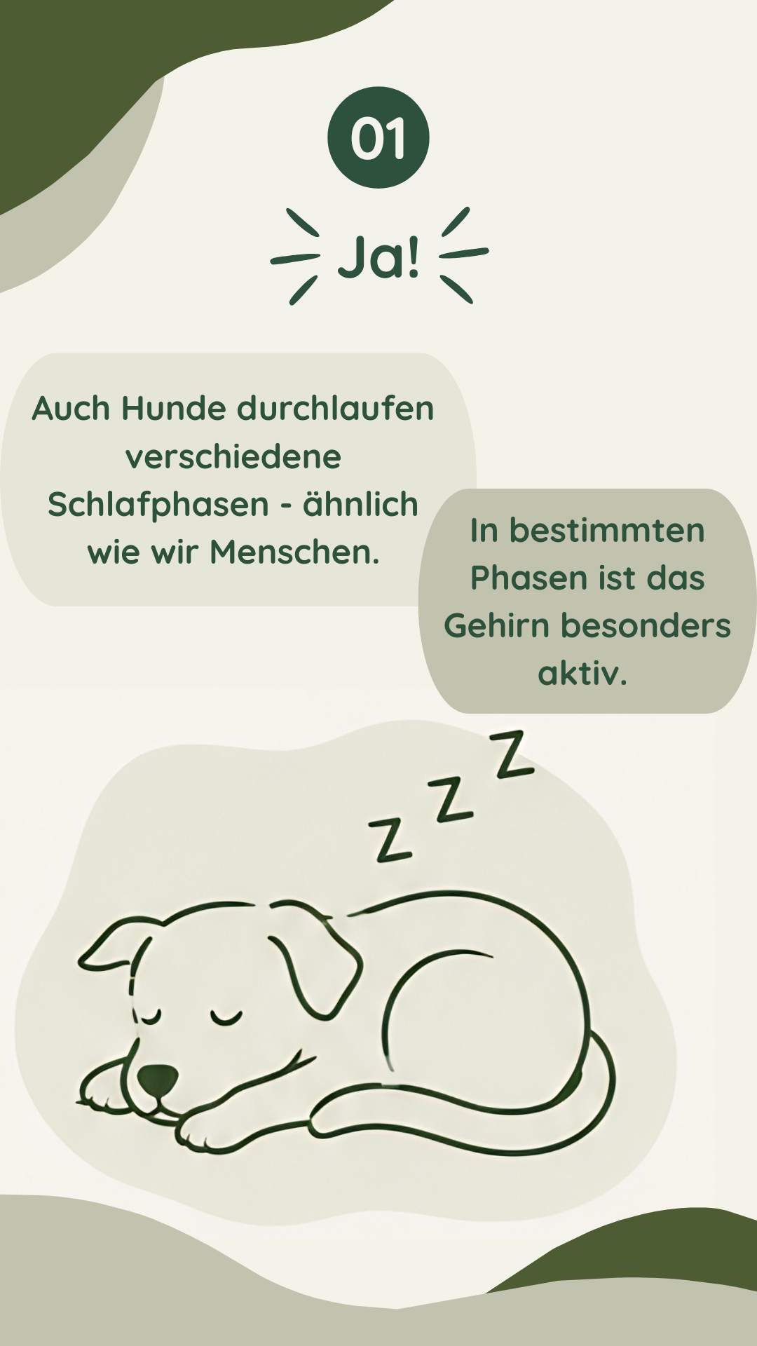 Wau-Miau Pfotenwissen