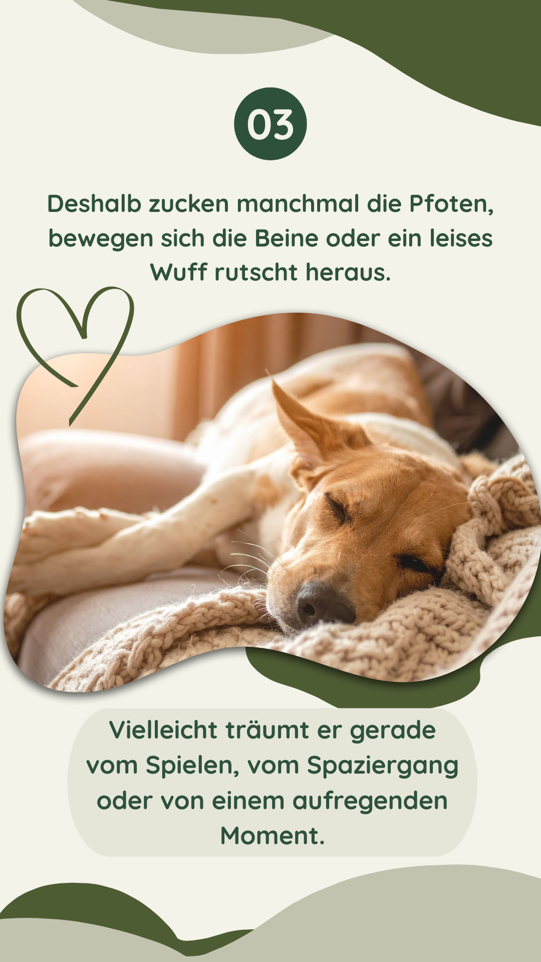 Wau-Miau Pfotenwissen