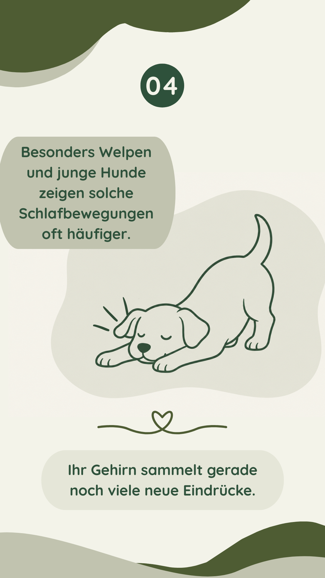 Wau-Miau Pfotenwissen
