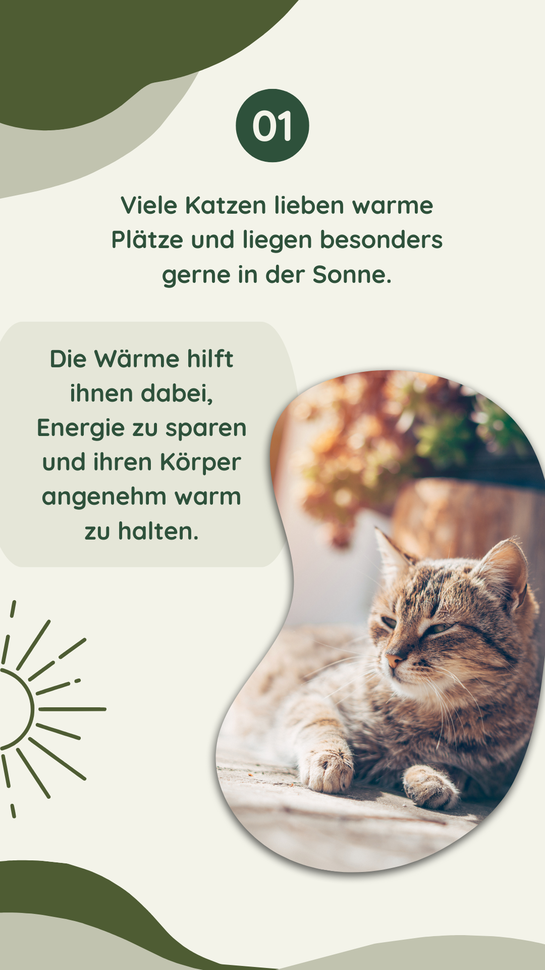 Wau-Miau Pfotenwissen