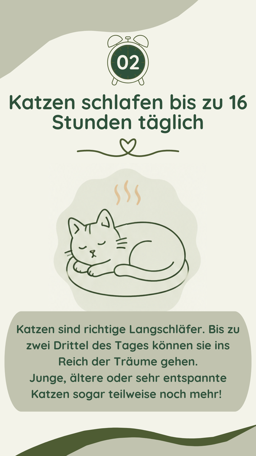 Wau-Miau Pfotenwissen