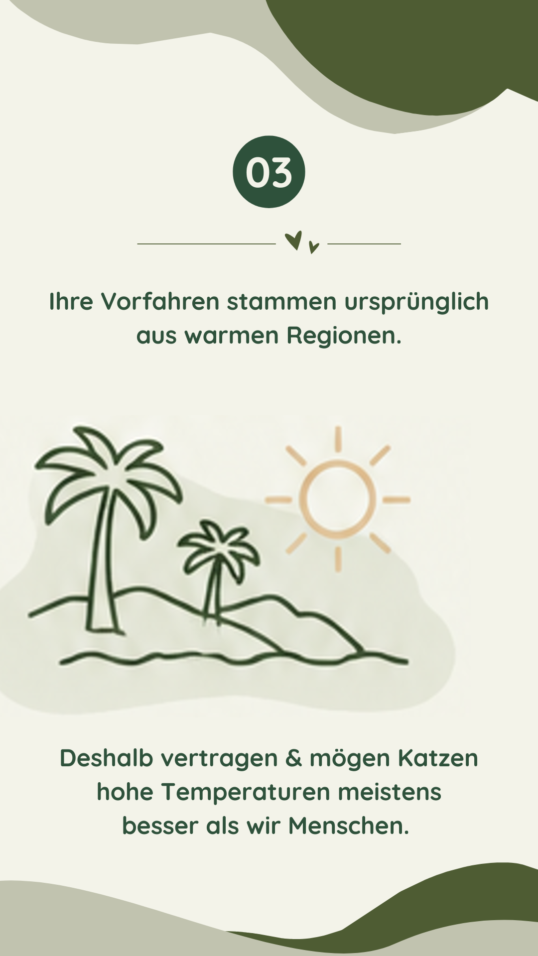 Wau-Miau Pfotenwissen