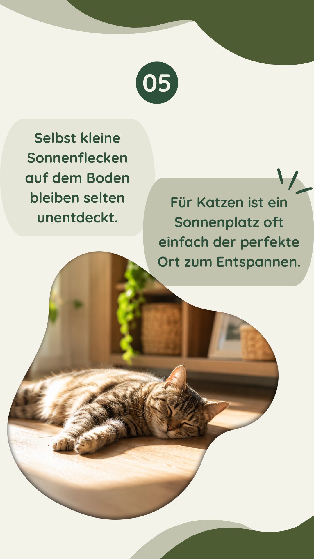 Wau-Miau Pfotenwissen