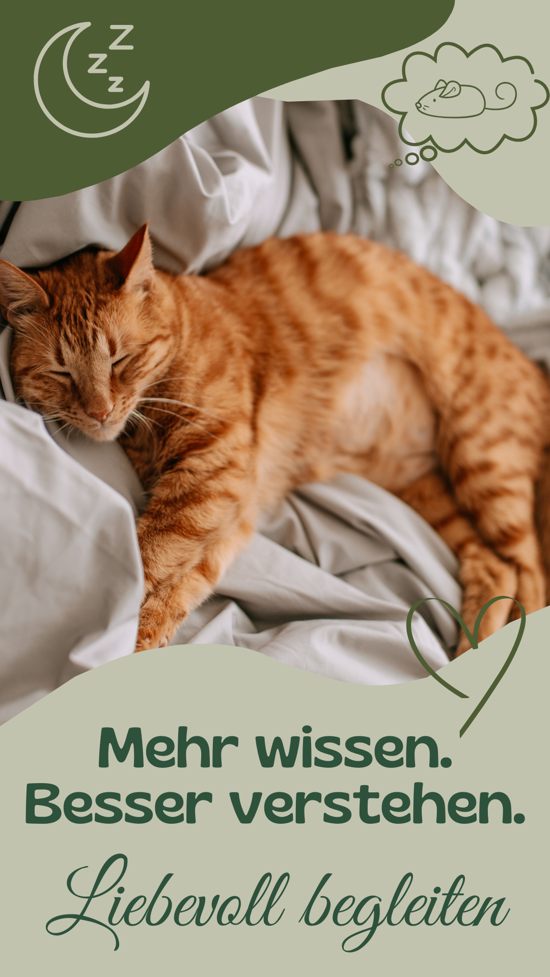 Wau-Miau Pfotenwissen