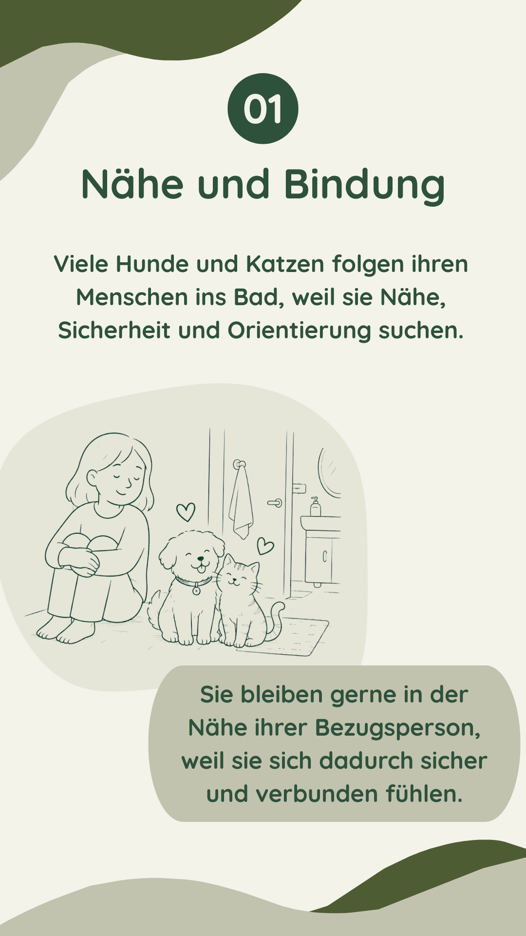Wau-Miau Pfotenwissen