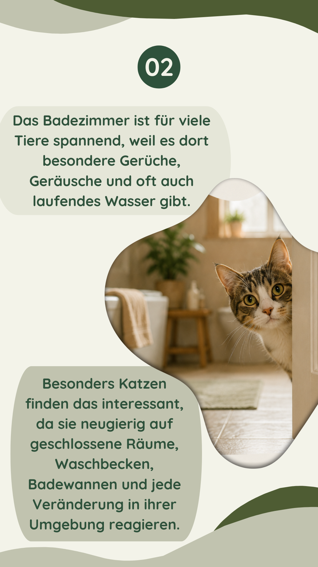 Wau-Miau Pfotenwissen