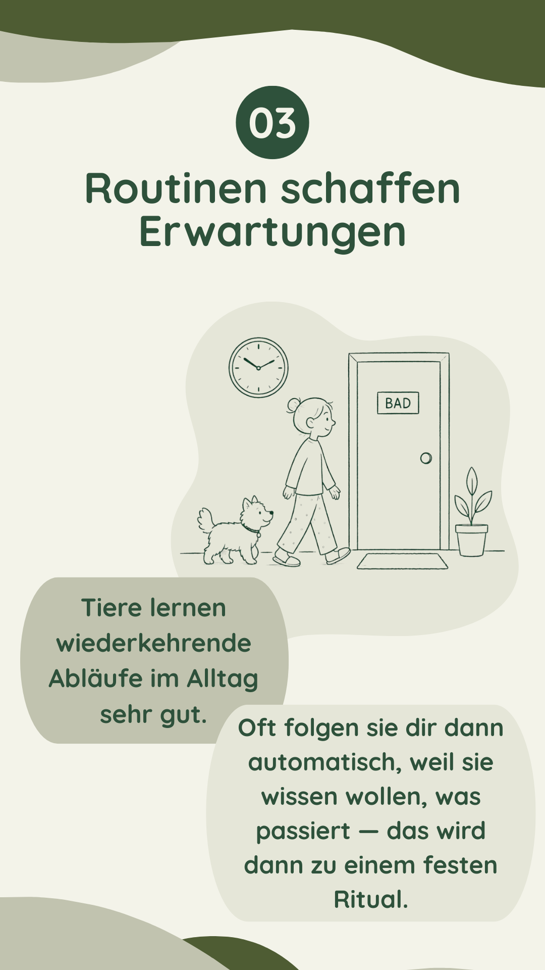 Wau-Miau Pfotenwissen
