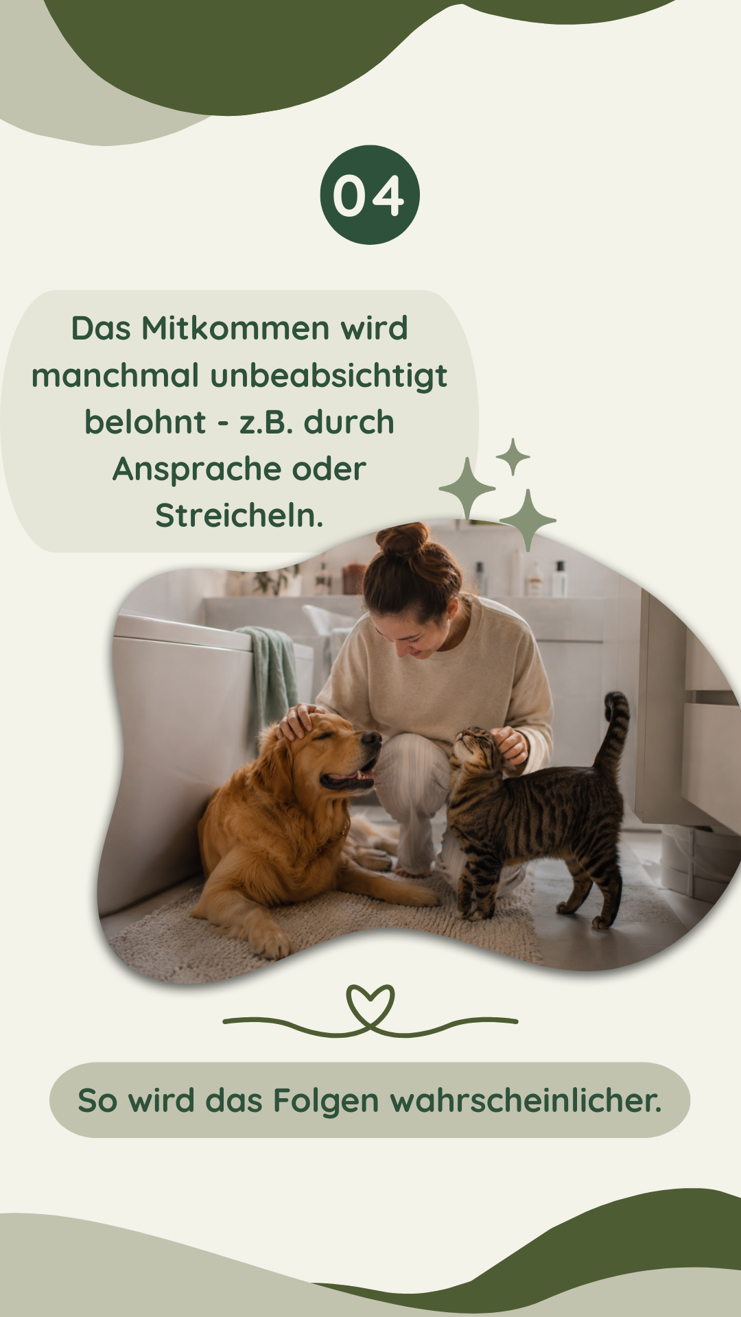 Wau-Miau Pfotenwissen