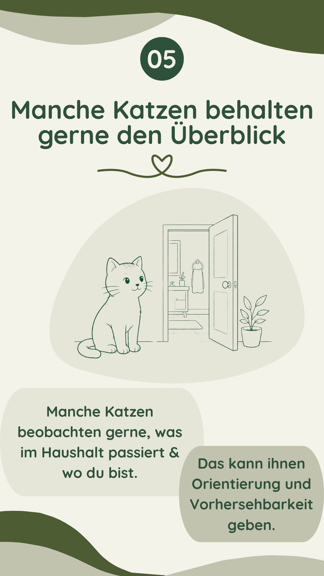 Wau-Miau Pfotenwissen