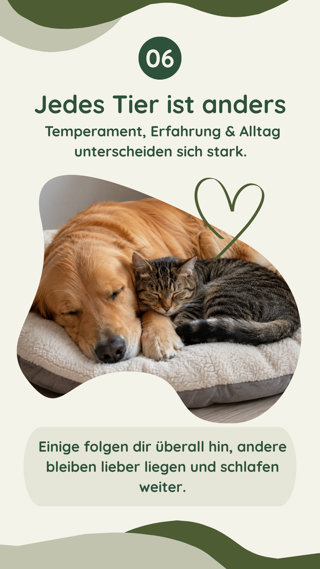 Wau-Miau Pfotenwissen