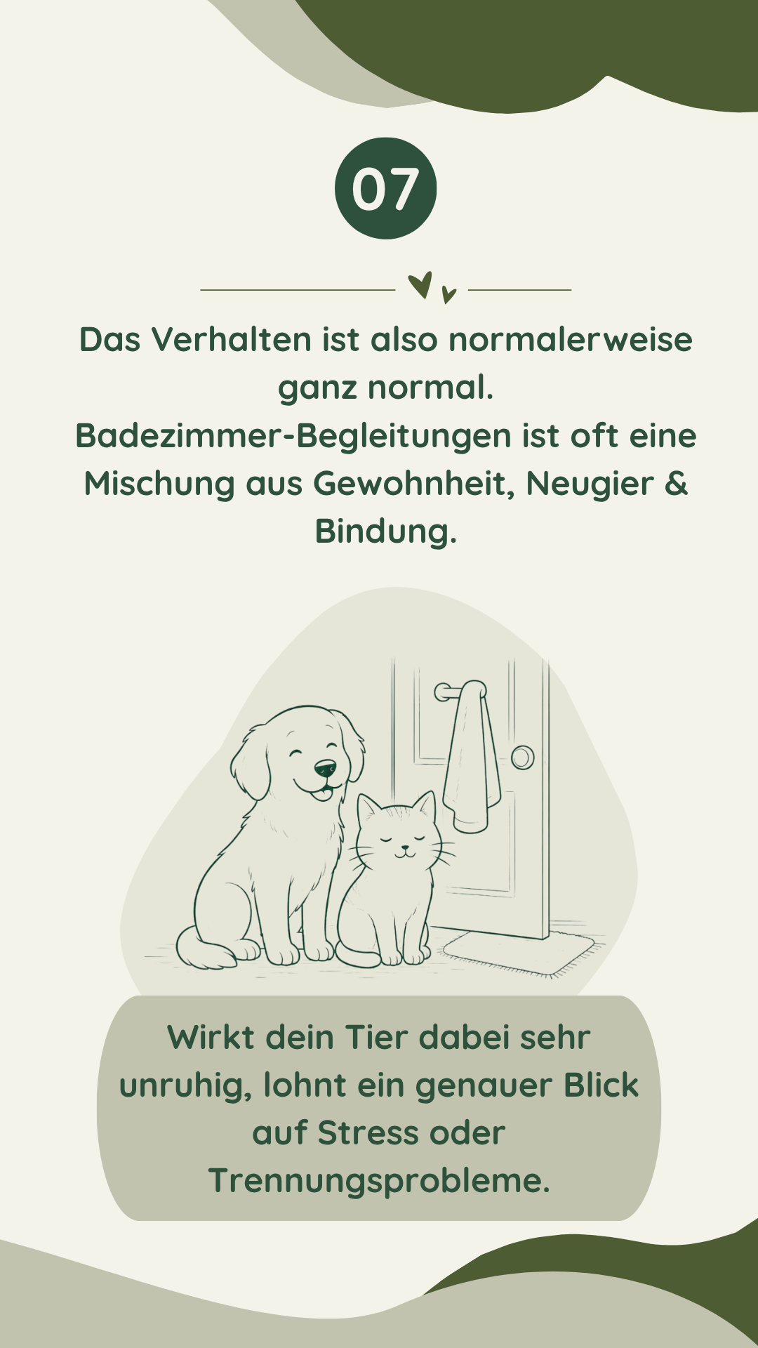 Wau-Miau Pfotenwissen