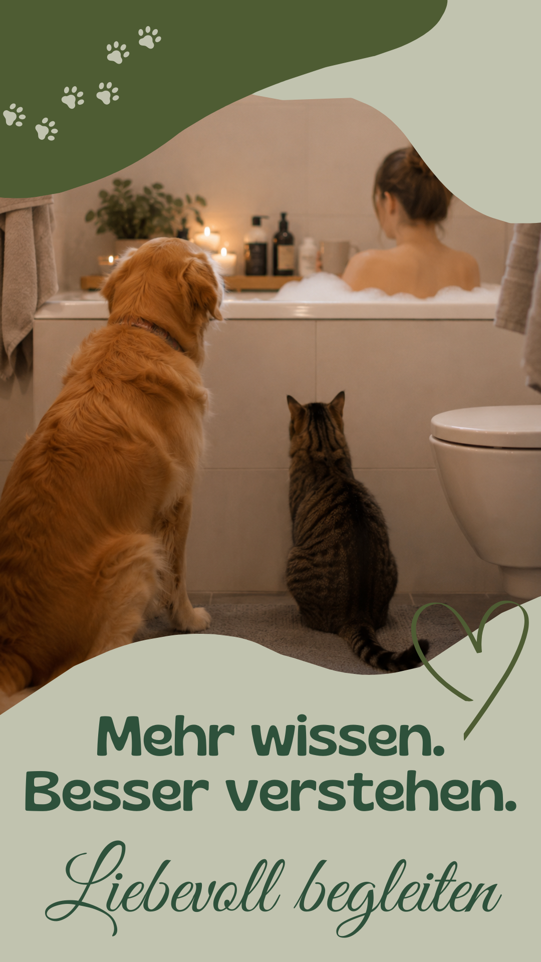 Wau-Miau Pfotenwissen